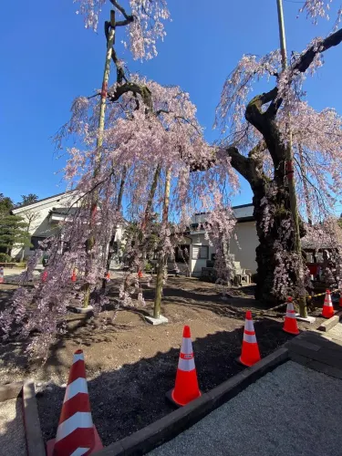 Myōkanji Temple