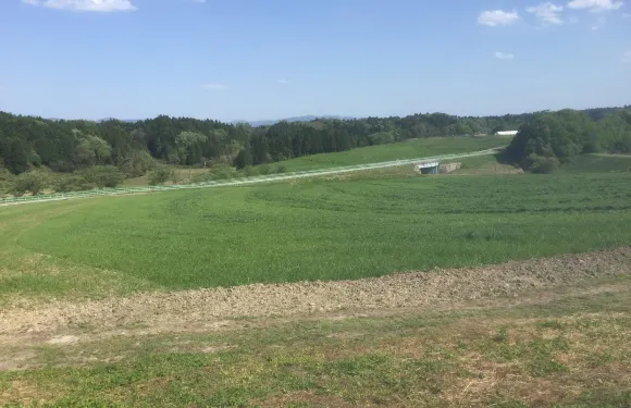 成田ふれあい牧場