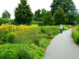 Hofwiesenpark