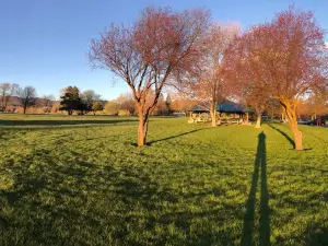 Moore Park