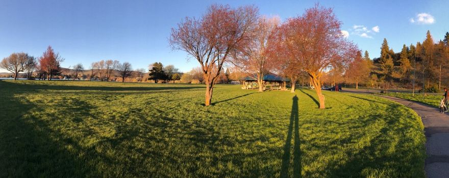 Moore Park