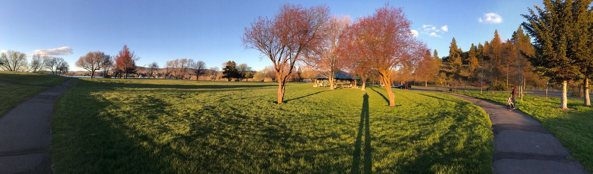 Moore Park