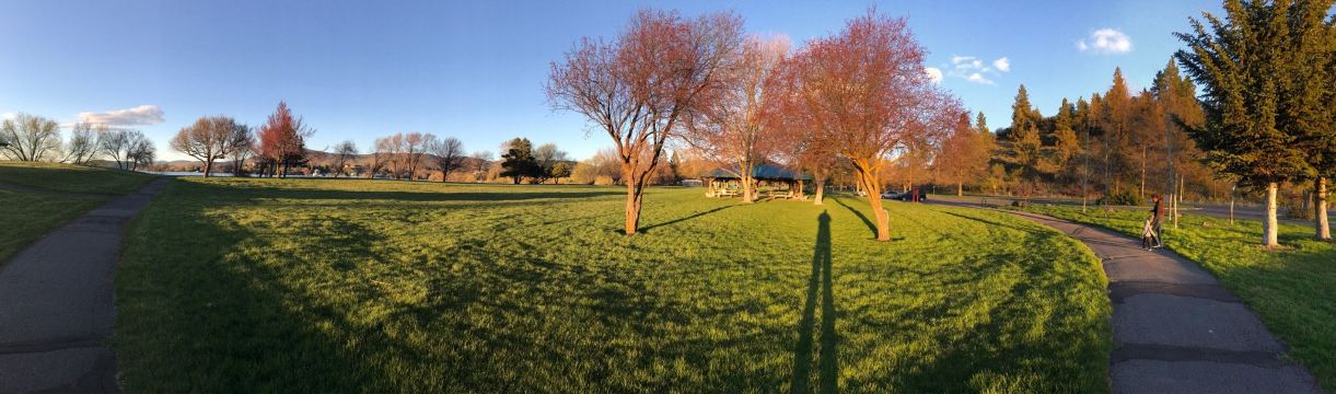 Moore Park