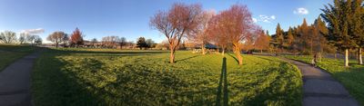Moore Park