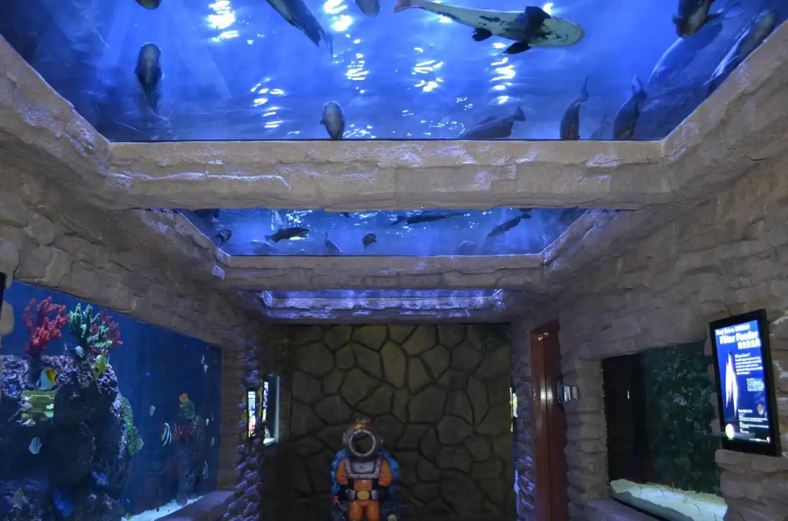 Hotels near The Shore Oceanarium