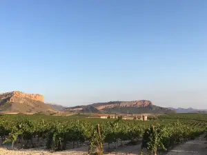 Bodega Hijos de Juan Gil