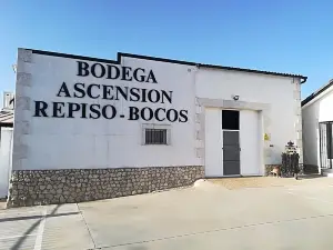 Bodegas Ascension Repiso Bocos