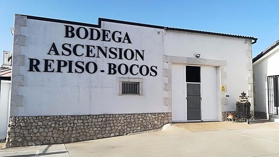 Bodegas Ascension Repiso Bocos