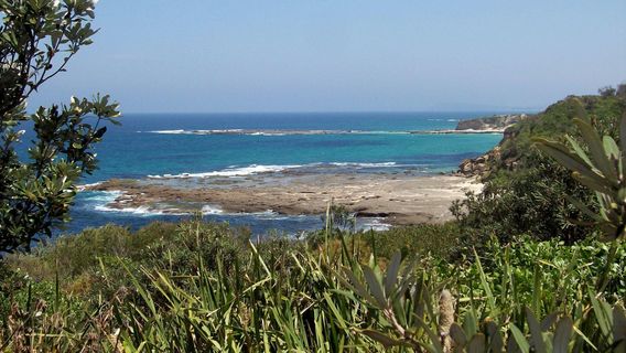 Wyrrabalong National Park