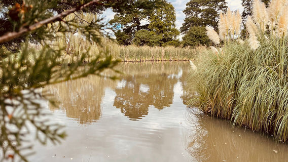 Walter J Smith Reserve