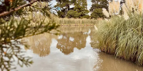 Walter J Smith Reserve