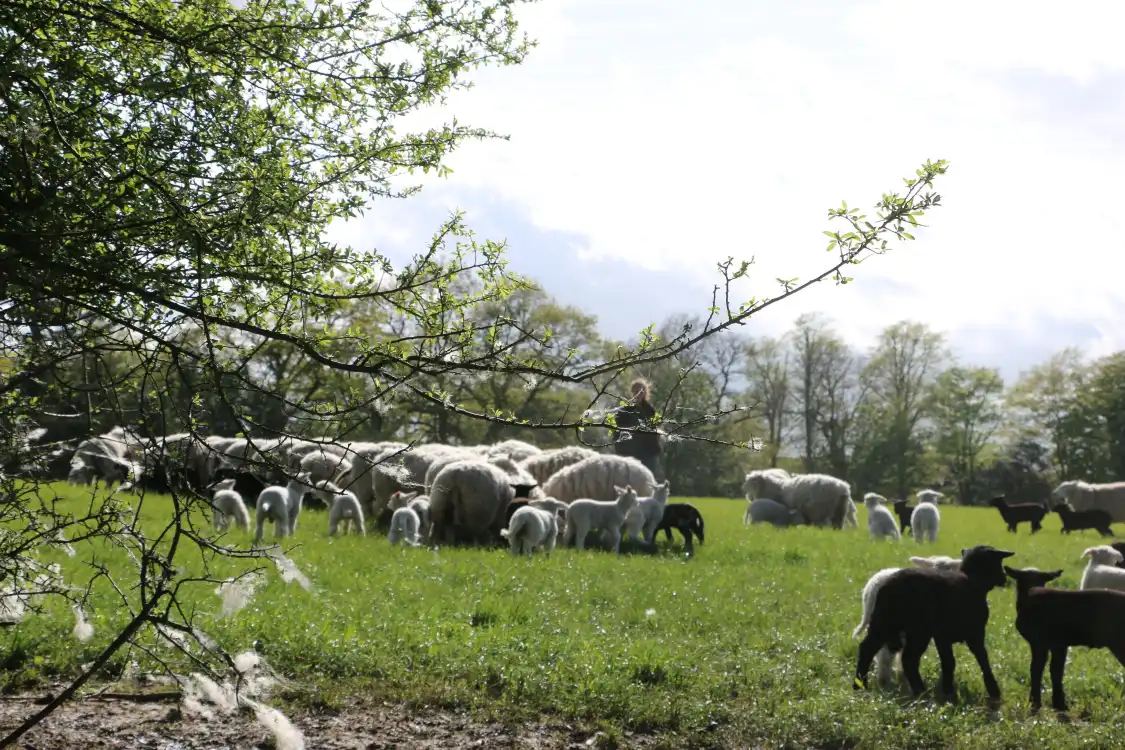 Hotels near Plaw Hatch Farm