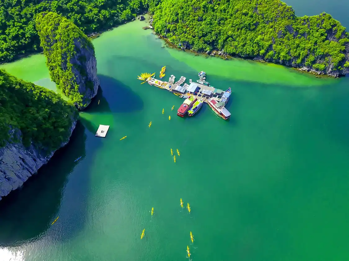 Hotels near Cat Ba Vision