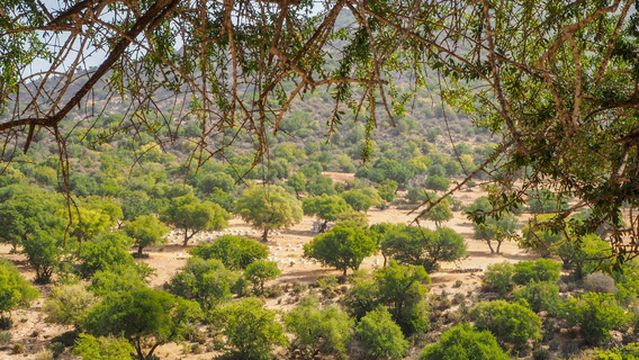 Tayyu Hiking Taghazout
