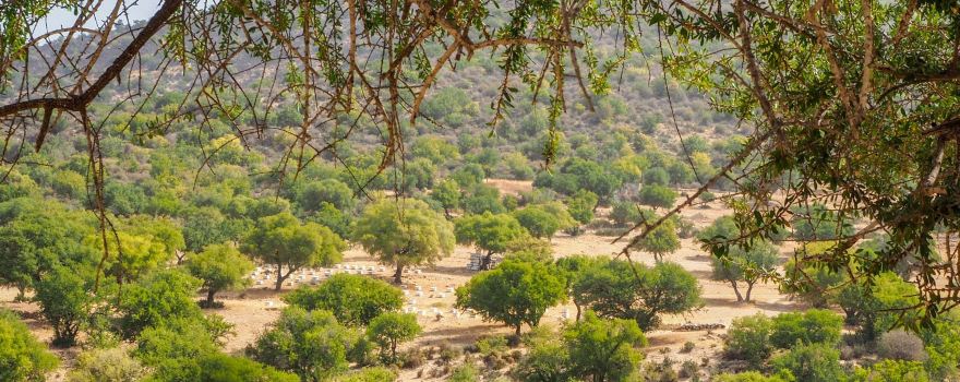 Tayyu Hiking