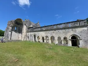 Abbey Ruins