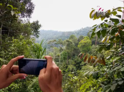 Gunung Pulai Recreational Forest