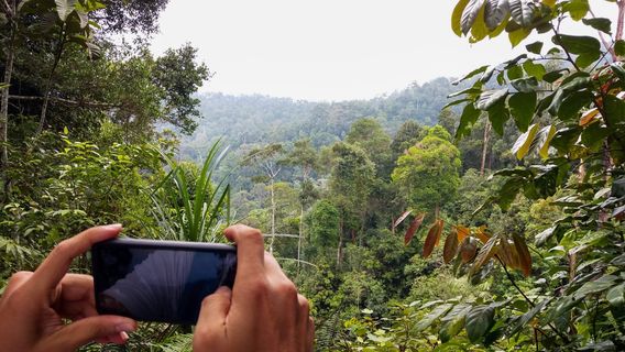 Gunung Pulai Recreational Forest