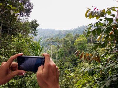 Gunung Pulai Recreational Forest