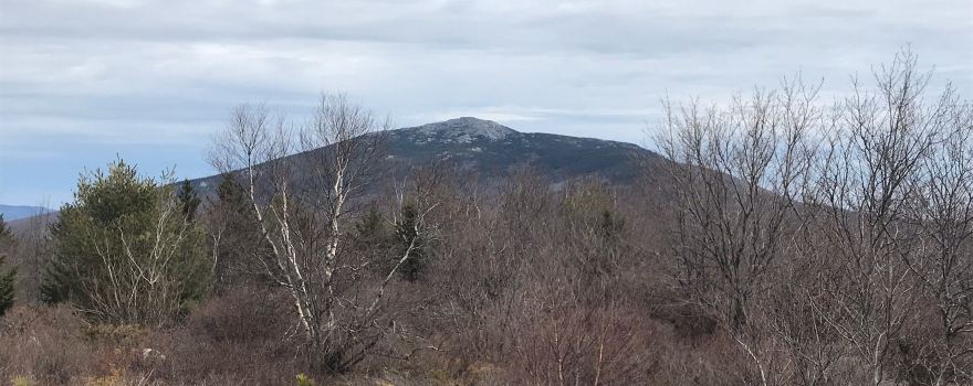 Gap Mountain Trail