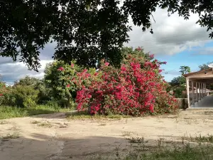 Serra do Mel