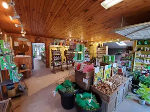 The Briar Patch Farm & Nursery