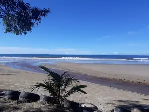 Pantai Kenangan, Bongawan