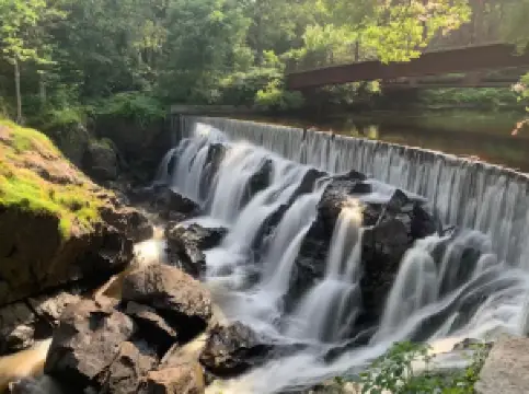 엉커스 립 앳 얀틱 팔스