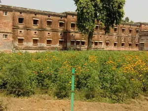 SM College Field