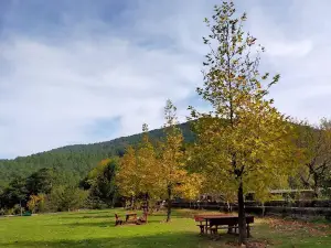 Darıdere Tabiat Parkı