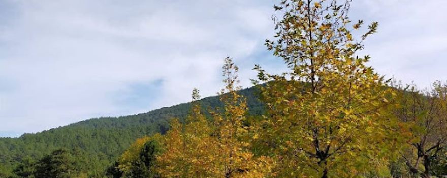 Darıdere Tabiat Parkı