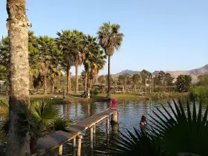 Laguna Santa Rosa