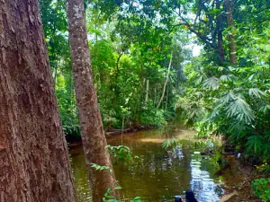 Kaluwarathenna Natural Pool