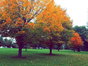 Cole Acres Golf & Grill