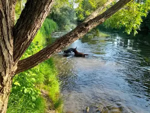 Jean-Marie Pelt Gardens - Seille Park