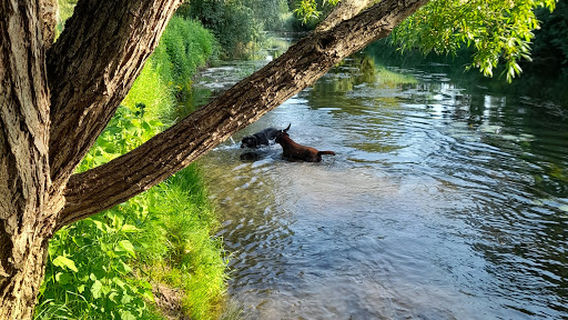 Jean-Marie Pelt Gardens - Seille Park
