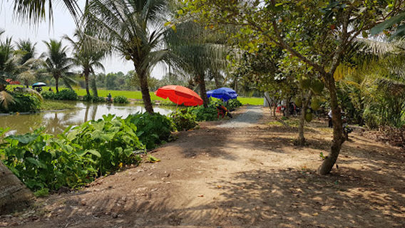 Long Thành District