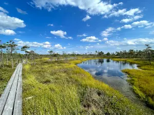Start of the Kemeri Bog walk