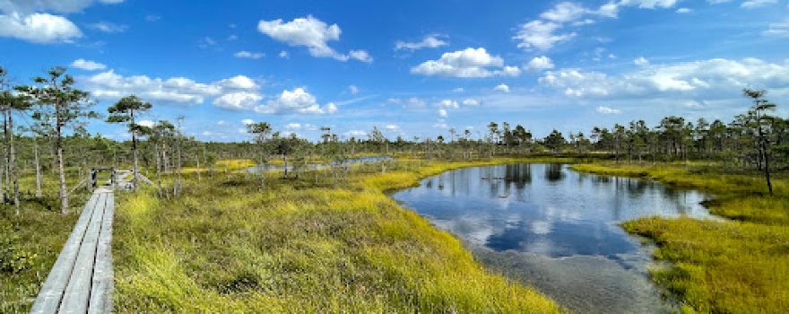 Start of the Kemeri Bog walk