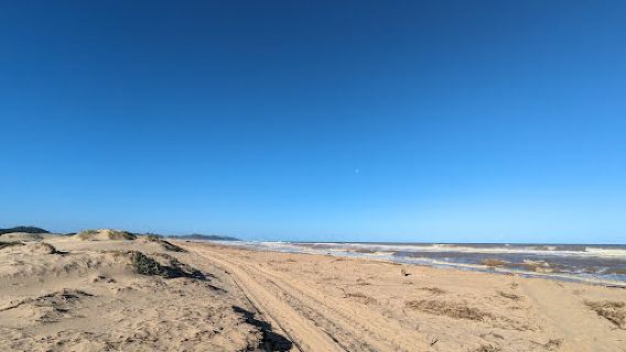 Estuary boardwalk