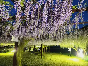 Wake Town Wisteria Park