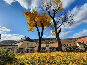 Fortified Church St. Stephen