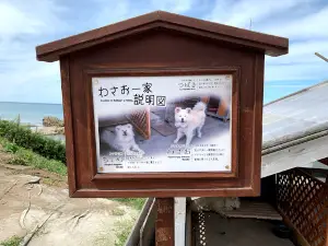 Chome's House