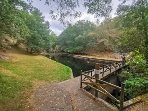 Ruta dos sete muíños