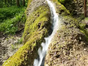 Steinerne Rinne at Wolfsbronn