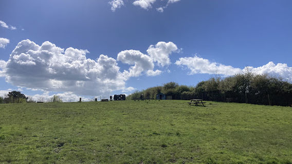 Country Dogs Paddock