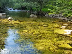 Bukovica