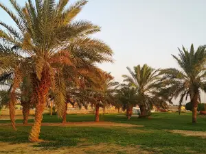 Waterfall Park