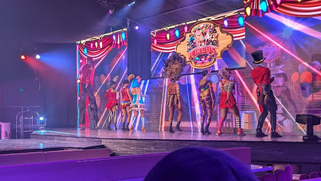 Pink Flamingo Spiegeland Brisbane