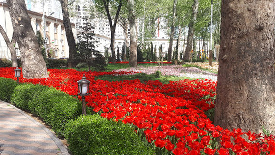Cyrus the Great Park